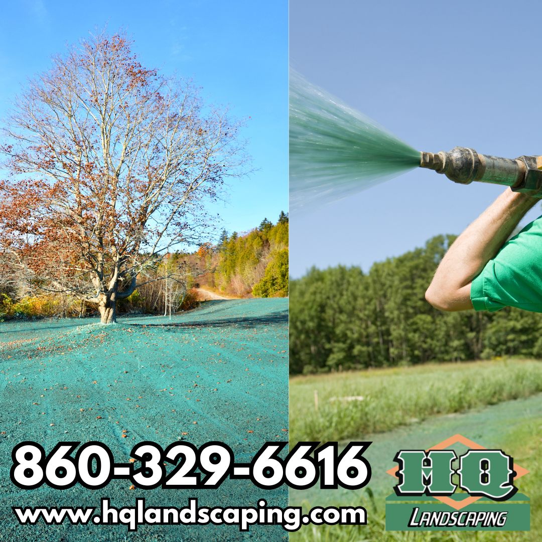 Can You Hydroseed in Fall? Best Time for CT Lawns (2025 Guide)